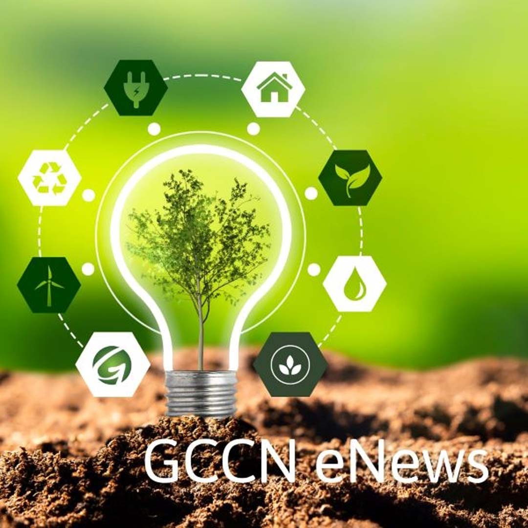 GCCN Autumn eNews